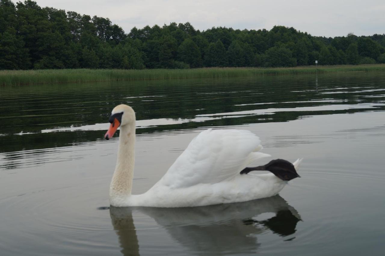 Haus Am See Storkow  Eksteriør billede